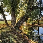 Stunning In Holiday home Sinj